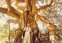Эксклюзивное дерево в национальном парке в Канди
